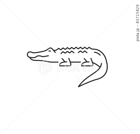 Wild crocodile, american alligator isolated thin line icon. Vector mississippiensis predator animal, symbol of Thailand, dangerous creature. Thai predator, scary carnivore crocodylus reptile Wild crocodile, american alligator isolated thin line icon. Vector mississippiensis predator animal, symbol of Thailand, dangerous creature. Thai predator, scary carnivore crocodylus reptile 83715829