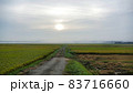 実り　涸沼川 83716660