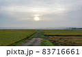 実り　涸沼川 83716661