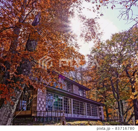 中禅寺湖畔紅葉景色イタリア大使館別荘記念　長方形構図 83716780