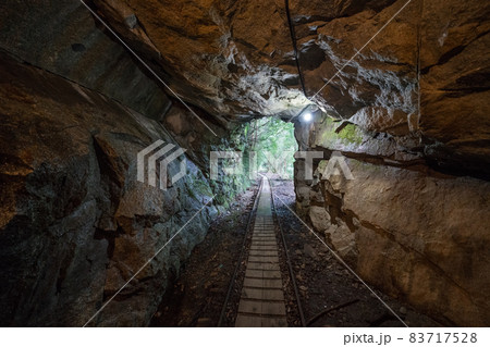 縄文杉往復コースのトロッコ道 縄文杉往復コースのトロッコ道 83717528