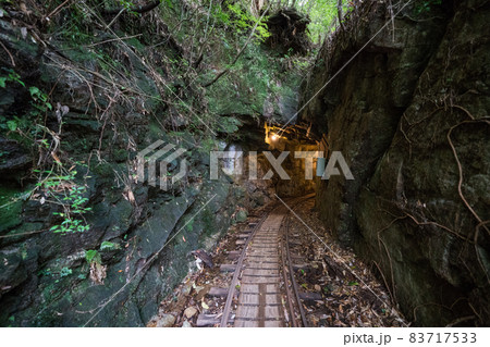 縄文杉往復コースのトロッコ道 縄文杉往復コースのトロッコ道 83717533