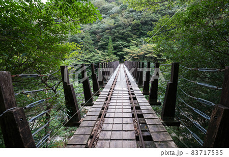 縄文杉往復コースのトロッコ道 縄文杉往復コースのトロッコ道 83717535