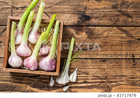 Young Spring garlic bulbs and cloves in wooden box. Wooden background. Top view. Copy space Young Spring garlic bulbs and cloves in wooden box. Wooden background. Top view. Copy space 83717876