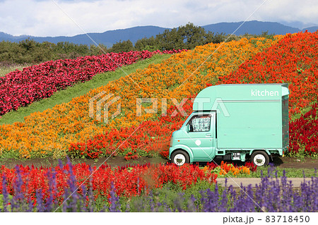 花畑の中の移動販売車 花畑の中の移動販売車 83718450