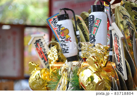 田無神社の龍たち 田無神社の龍たち 83718804