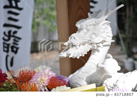 田無神社の龍たち 83718807