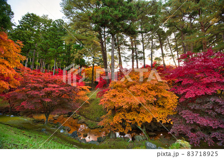 秋の紅葉風景 83718925