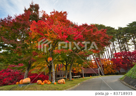 秋の紅葉風景とハロウィーン 秋の紅葉風景とハロウィーン 83718935