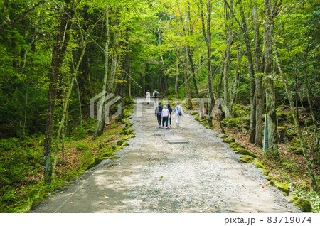 富岳風穴入口の樹海の遊歩道 83719074
