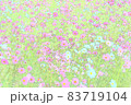 コスモス 83719104