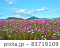 コスモス 83719109