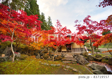 道の駅なんごうの紅葉している庭園風景 83719557