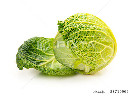 西洋野菜のサボイキャベツ 83719965
