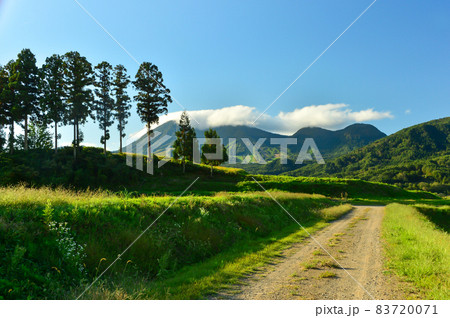 長閑な山道の風景【長野県】 83720071