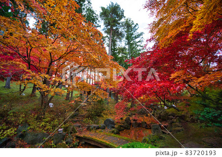 道の駅なんごうの庭園の紅葉風景 83720193