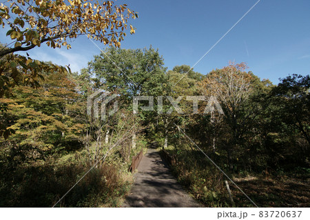 四季の散歩　秋　たじま高原植物園 83720637