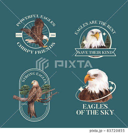 Logo template with bald eagle concept,watercolor style. 83720855