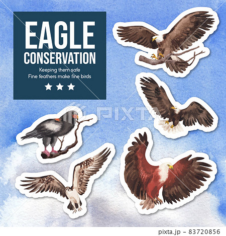 Sticker template with bald eagle concept,watercolor style. 83720856