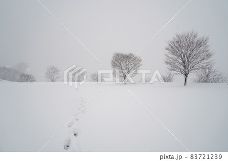 北陸金沢の大乗寺丘陵公園、雪原に足跡 83721239