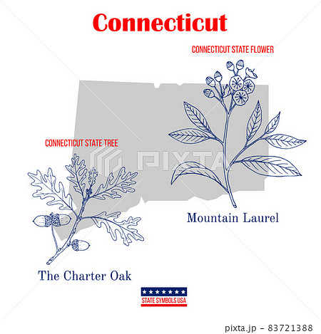 Connecticut. Set of USA official state symbols Connecticut. Set of USA official state symbols 83721388