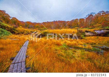 秋田県　秋の須川高原　 83722343