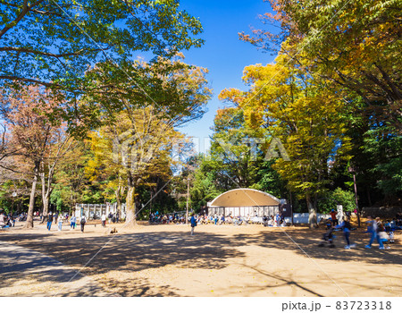 井の頭公園 秋晴れの休日 井の頭公園 秋晴れの休日 83723318