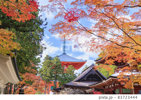 紅葉真っ盛りの高野山 83723444