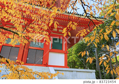 紅葉真っ盛りの高野山 紅葉真っ盛りの高野山 83723454