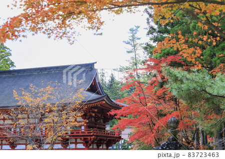 紅葉真っ盛りの高野山 紅葉真っ盛りの高野山 83723463