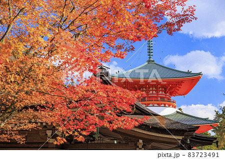 紅葉真っ盛りの高野山 紅葉真っ盛りの高野山 83723491