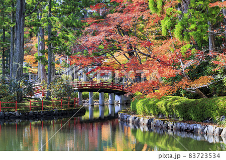 紅葉真っ盛りの高野山 紅葉真っ盛りの高野山 83723534