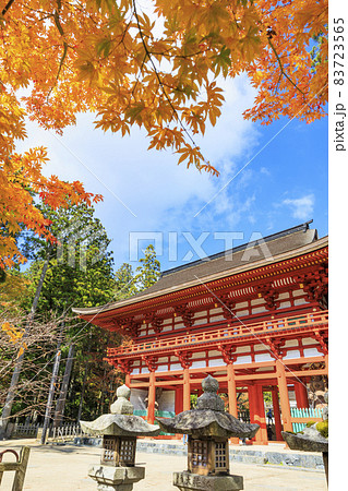 紅葉真っ盛りの高野山 紅葉真っ盛りの高野山 83723565