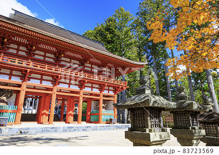 紅葉真っ盛りの高野山 83723569