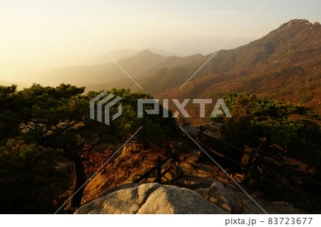 晴れ 自然 景色 83723677