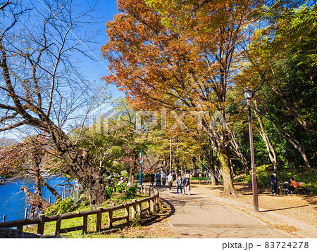 井の頭公園　秋晴れの休日 83724278