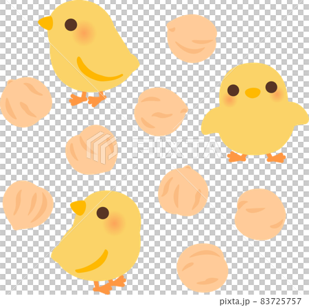 ヒヨコとひよこ豆 83725757
