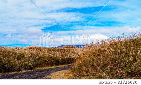 富士山とすすきの静岡県裾野市の冬 富士山とすすきの静岡県裾野市の冬 83726020