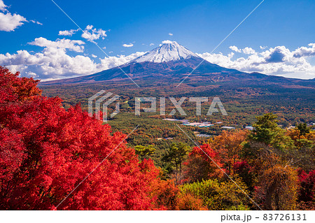 （山梨県）鳴沢村・紅葉台の紅葉と富士山 83726131