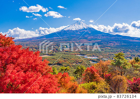（山梨県）鳴沢村・紅葉台の紅葉と富士山 83726134