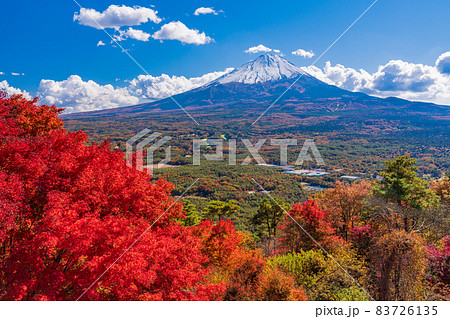(山梨県)鳴沢村・紅葉台の紅葉と富士山 (山梨県)鳴沢村・紅葉台の紅葉と富士山 83726135