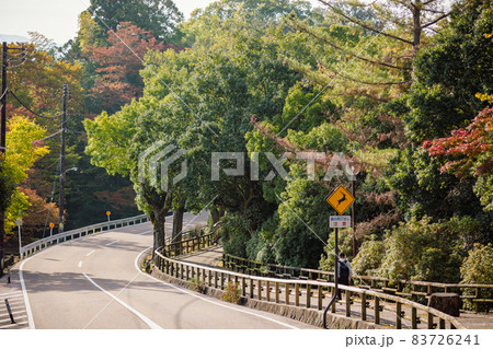 奈良県　奈良公園　道路標識と道 83726241