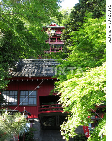 新緑が美しい佐野市の磯山弁財天(拝殿・本殿) 新緑が美しい佐野市の磯山弁財天(拝殿・本殿) 83726321