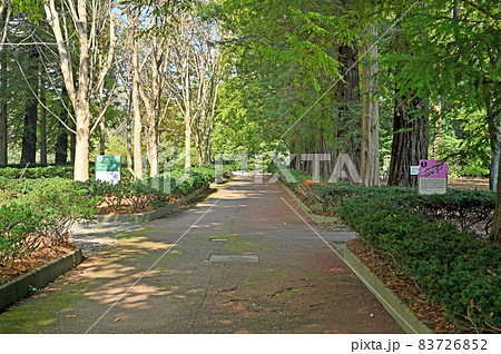 筑波実験植物園 筑波実験植物園 83726852