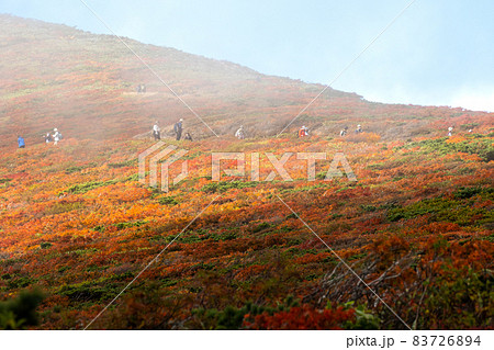 栗駒山の紅葉 神の絨毯 栗駒山の紅葉 神の絨毯 83726894