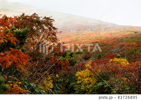 栗駒山の紅葉 神の絨毯 栗駒山の紅葉 神の絨毯 83726895