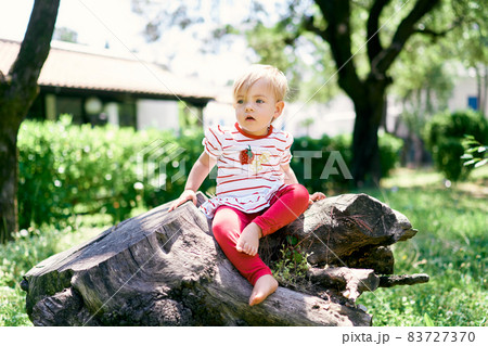Little barefoot kid sits on a huge tree stump in a green park 83727370