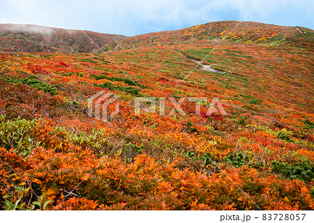 栗駒山の紅葉 神の絨毯 栗駒山の紅葉 神の絨毯 83728057