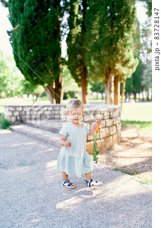 Little girl with a carrot in her hand walks along the cobbled area in the park 83728147