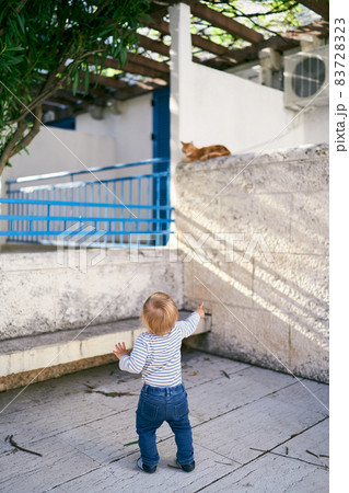 Kid stands near the stone fence of the house and looks at the cat sitting on it. Back view 83728323